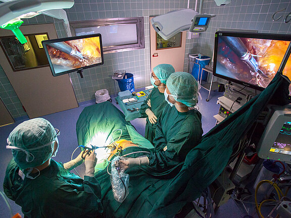 Behandlungsschwerpunkt Therapeutische Schwerpunkte