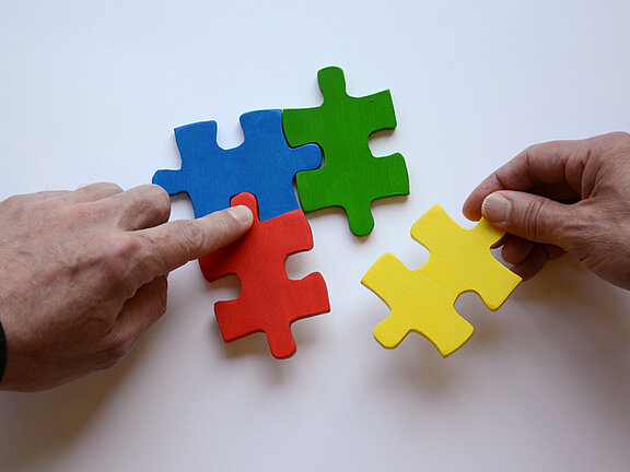 Behandlung von Menschen mit psychosomatischen Erkrankungen (STEPS)