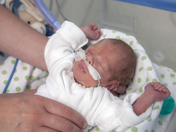 Ein Frühgeborenes mit Beatmungsschläuchen in der Nase wird von den Händen eine Pflegefachkraft gehalten.