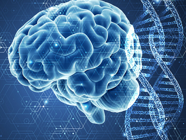 Gehirn und DNA (Bild virtuell angemutet) 