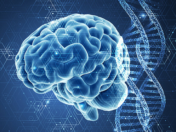 Gehirn und DNA (Bild virtuell angemutet) 